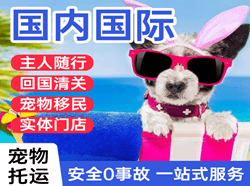 桃仙航空邮寄国际宠物托运 【国